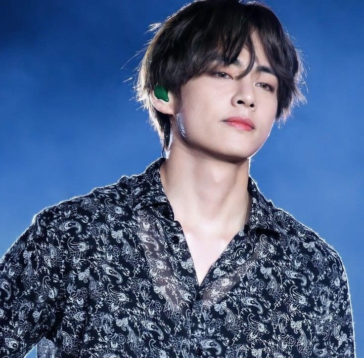 Kim Taehyung Wife, Biography, Age, Wiki, Family, Height, Net Worth ...